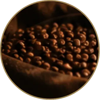 collection-img